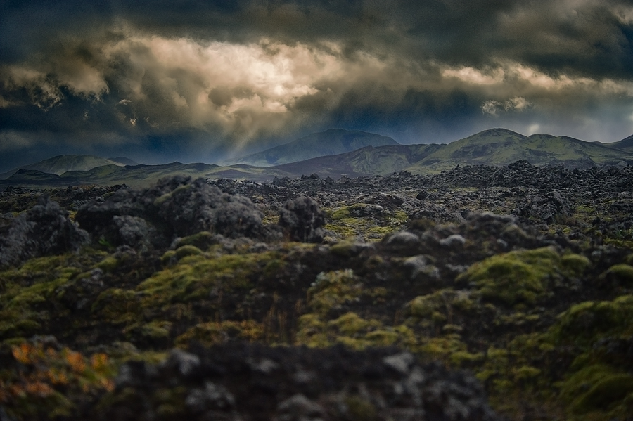 Snapshot: Iceland Lava Field » Travel Photography Blog