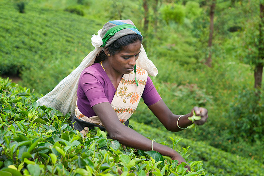 Happy Labor Day…a few shots of laborers around the world » Travel ...