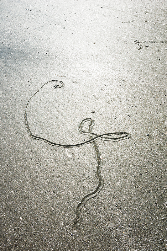 Schooner bay beach, Long Beach, Pacific National Park