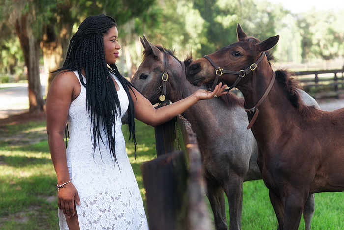 Horse drawn carriage tour of horse farms, Ocala, Florida