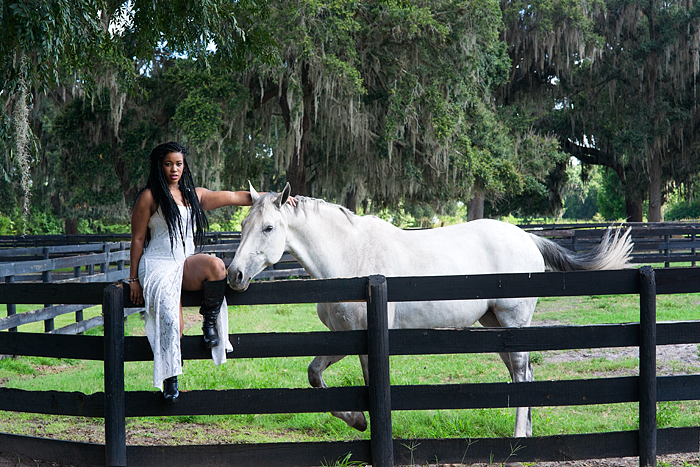 Horse drawn carriage tour of horse farms, Ocala, Florida