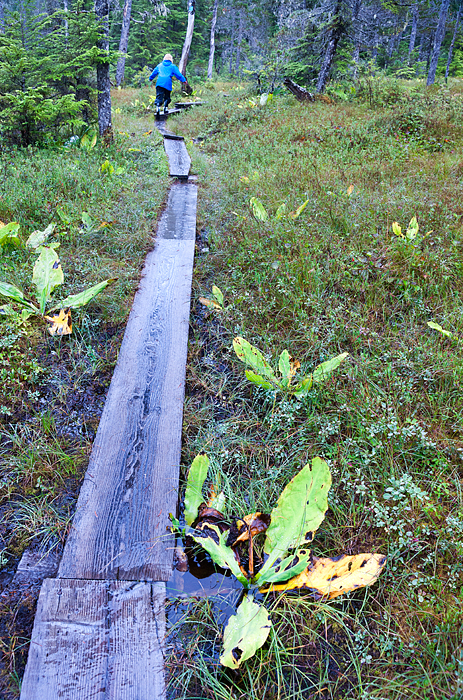 Auk Nu trail, Juneau, Alaska