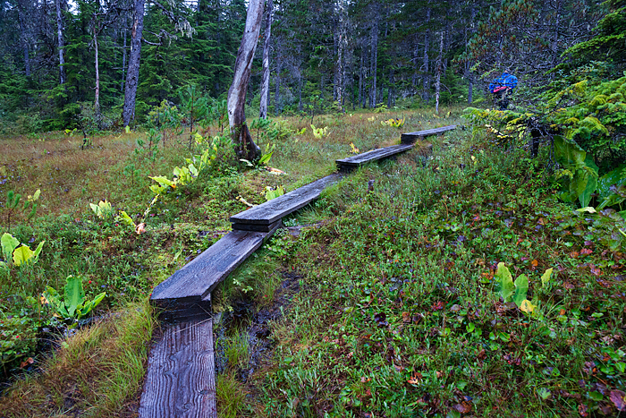 Auk Nu trail, Juneau, Alaska