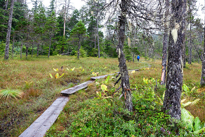 Auk Nu trail, Juneau, Alaska