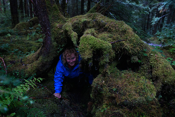 A Scary Walk In The Woods Hiking Juneau S Auk Nu Trail To John