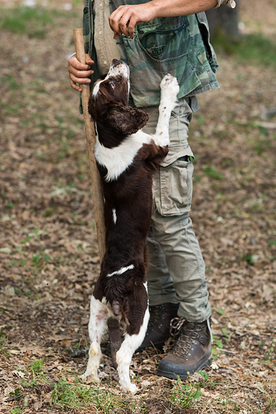 truffle hunting in Abruzzo Italy