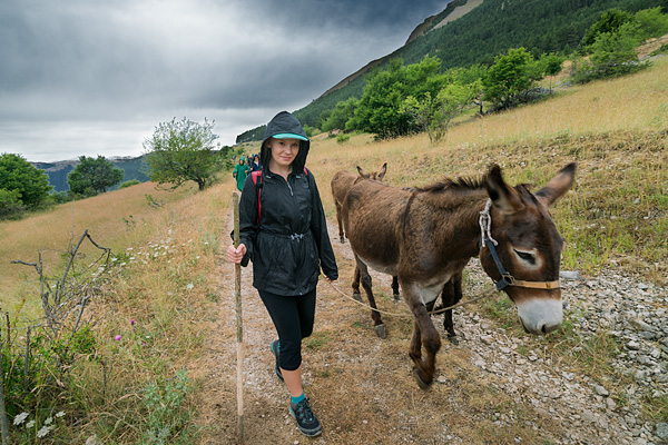 Transhumanza, Abruzzo, Italy