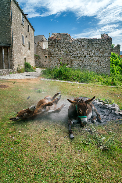 transumanza, Abruzzo, Italy