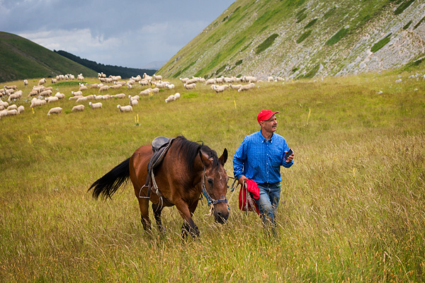 horse italy