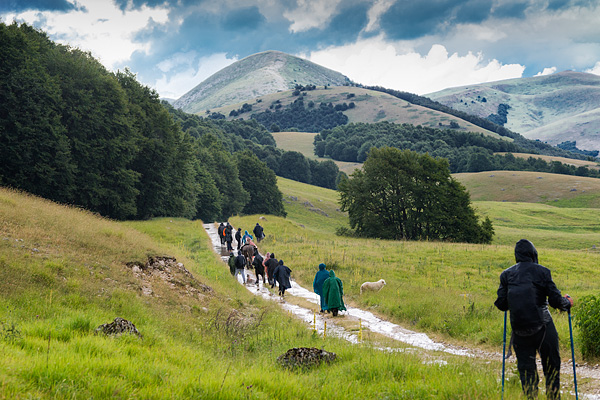 transumanza, Italy, sheep