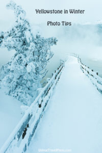 Photo tips Yellowstone winter