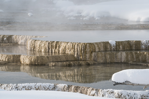 Yellowstone National Park, Wyoming, USA