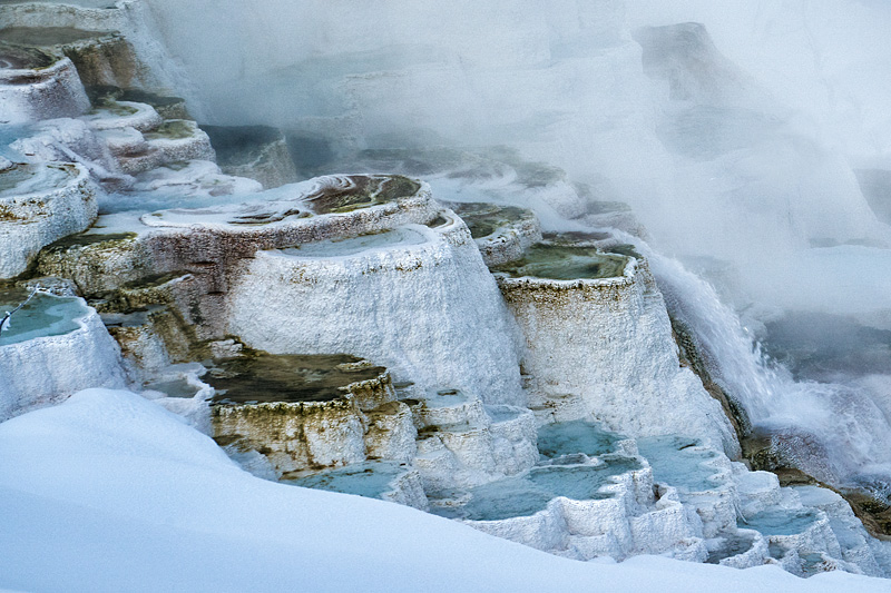 Yellowstone National Park, Wyoming, USA