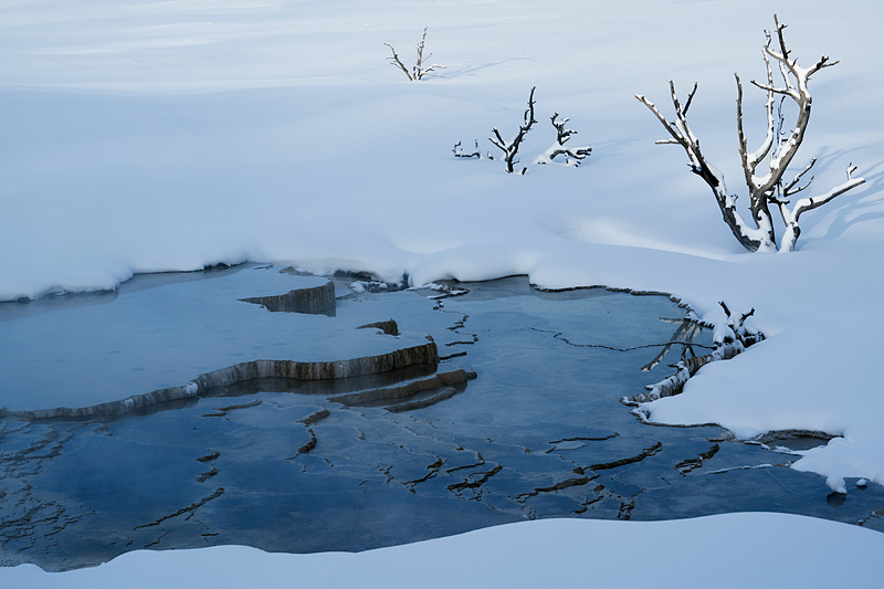 Yellowstone National Park, Wyoming, USA