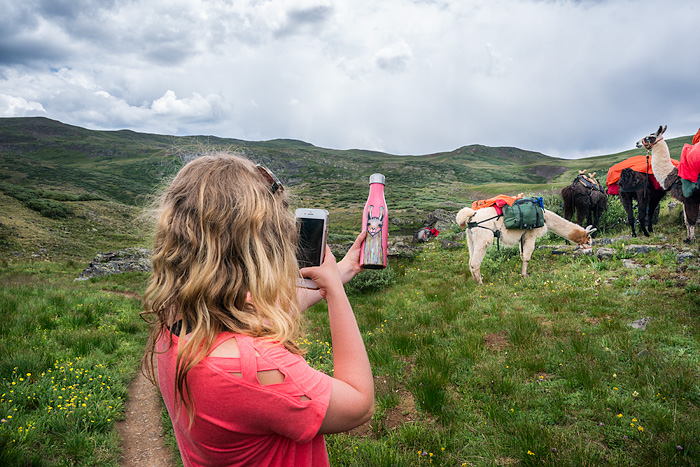 Llama trekking with Redwood Llamas in the San Juan Mountains, Colorado