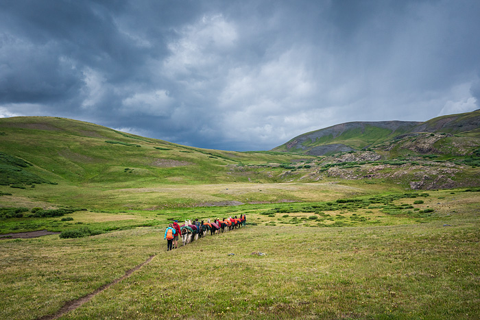 Llama trekking with Redwood Llamas in the San Juan Mountains, Colorado