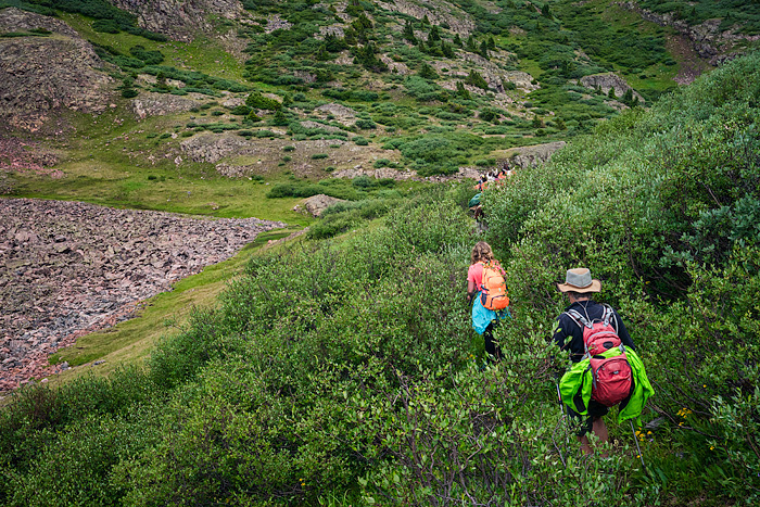 Llama trekking with Redwood Llamas in the San Juan Mountains, Colorado