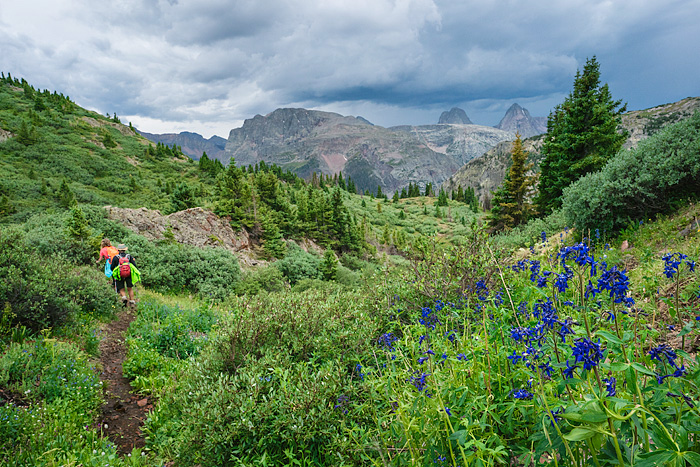 Llama trekking with Redwood Llamas in the San Juan Mountains, Colorado