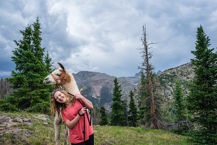 Llama trekking with Redwood Llamas in the San Juan Mountains, Colorado