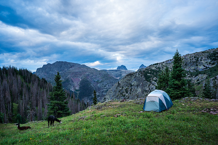 Camping in San Juan Mountains