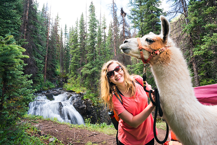 unique hiking adventure, llama trekking, Colorado, uniquetravelphoto