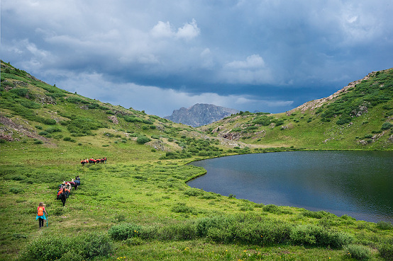 unique hiking adventure, llama trekking, Colorado