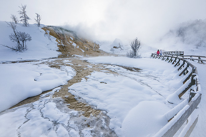 mammoth-springs-yellowstone