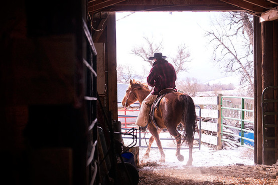 cowboy-riding-barn-montana-uniquetravelphoto