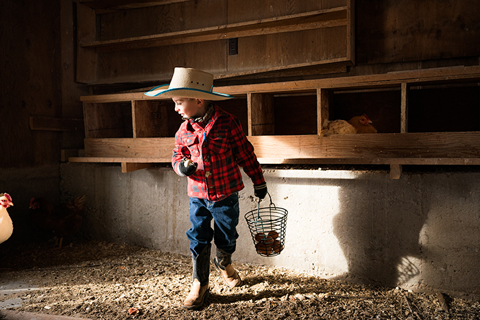 life-on-a-ranch-children-eggs