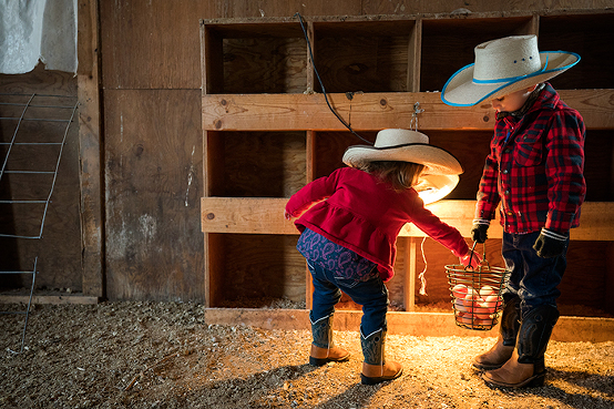 life-on-a-ranch-collecting-eggs