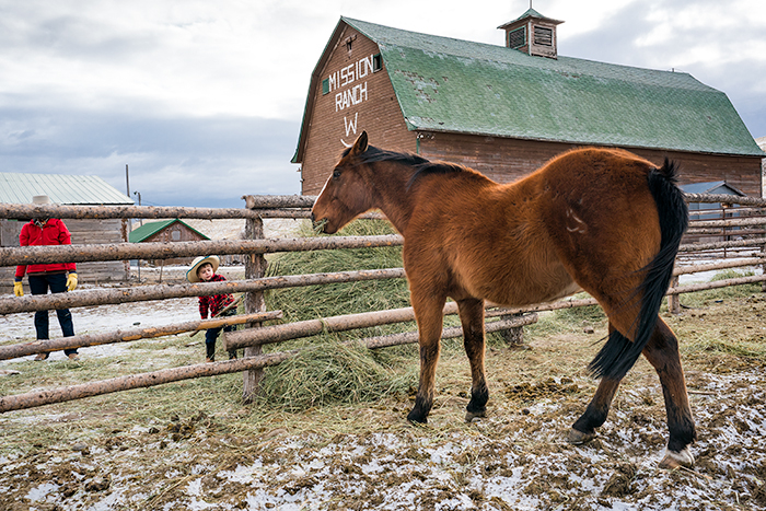 life-on-a-ranch-chores