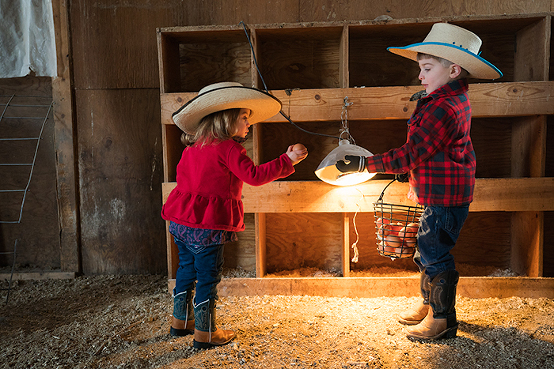 life-on-a-ranch-collecting-eggs