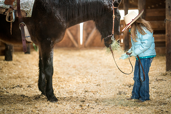 life-on-a-ranch-girl-feeding-horse