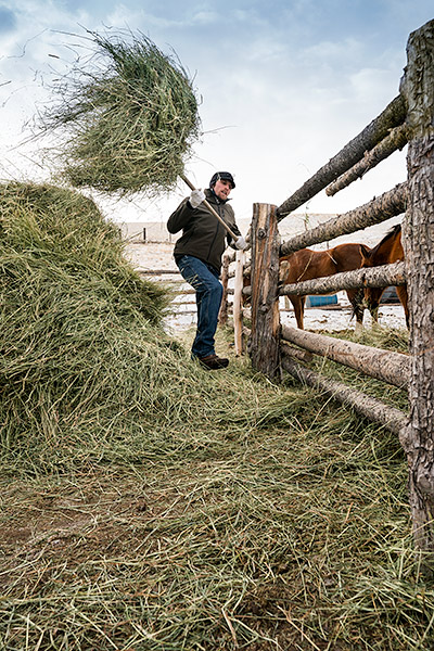 life-on-a-ranch-haying