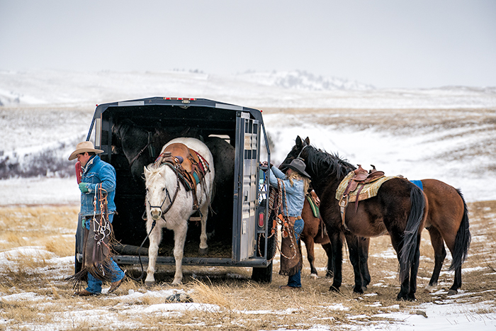 life-on-a-ranch-trailer-horses