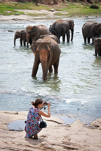 Thinking of Sri Lanka