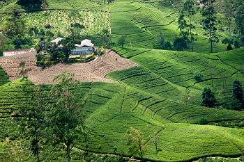 Safety in Sri Lanka