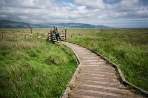 Wigtown marrtyr trail