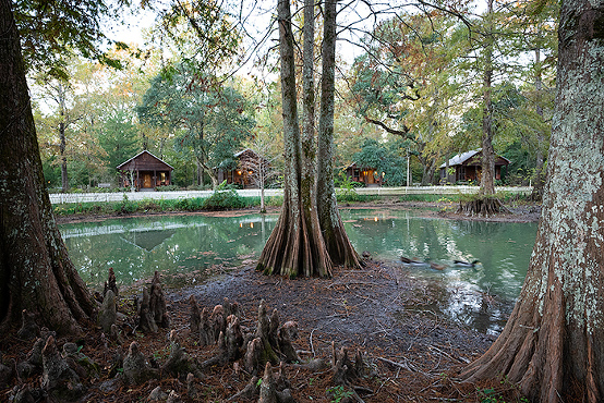 Cypress isle at Haunted Myrtles Plantation, Lousiana