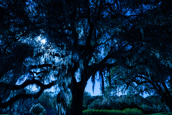 Spooky exterior of the haunted Myrtles Plantation, Lousiana