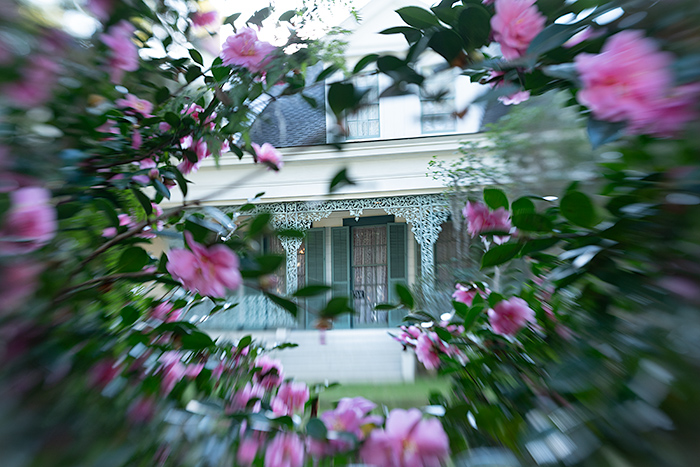 Spooky exterior of the haunted Myrtles Plantation, Lousiana