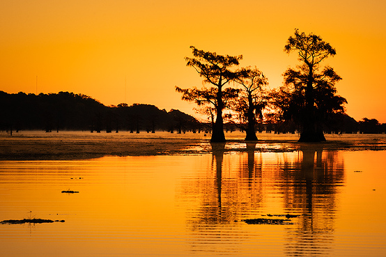 Caddo lake sunrise Autumn colors, Uncertain, Texas