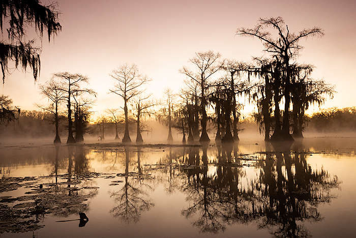 Sunrise at Caddo Lake