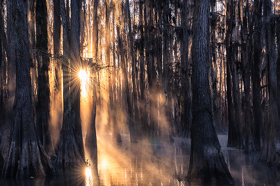 sunrise on caddo lake, TX