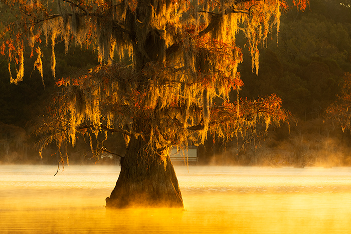 Caddo lake sunrise Autumn colors, Uncertain, Texas