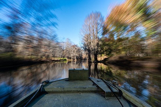 Boating on Caddo Lake swamp