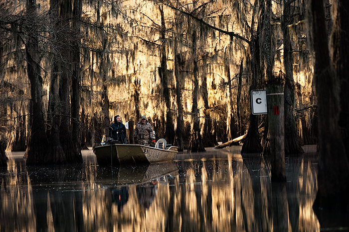 boating on Caddo Lake swamp