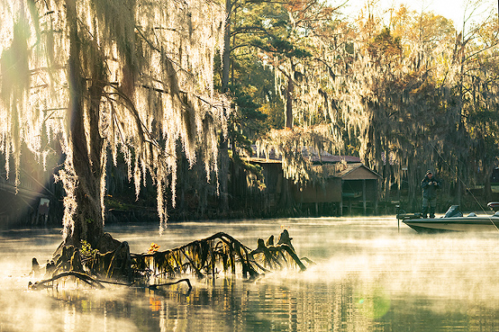 Caddo Lake swamp