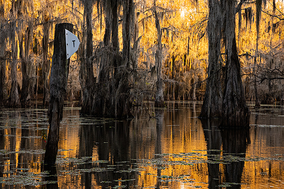 Route markers on Lake Caddo