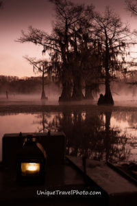 Visit Caddo Lake swamp in Texas